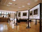 Allestimento della mostra